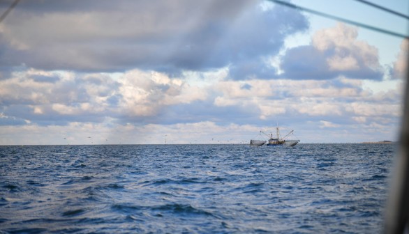 Shrimp Season Begins On North Sea Coast, Fishermen Hope For Return To Normalcy