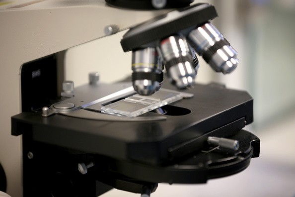 Shark's semen samples monitored under a microscope