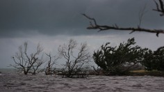 Vulnerable Florida Keys See Increased Flooding With Seasonal King Tides