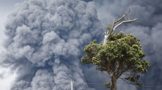 Hawaii's Kilauea Volcano Erupts Forcing Evacuations