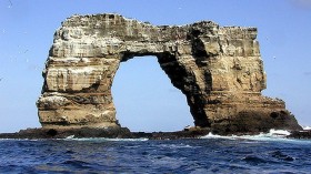 Darwin's Arch