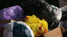 Plastic Bags - The Environmental Scourge