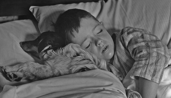 Sleeping With The Dog