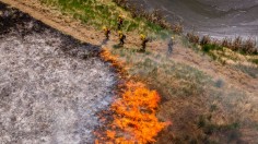 Volunteer Firefighters Train To Fight Wildfires In Washington State