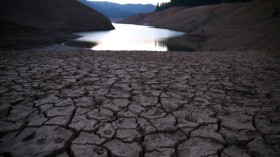 Drought Severely Affects Shasta Lake's Water Level