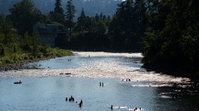 Swimmers cooling off in the Clackamas River 