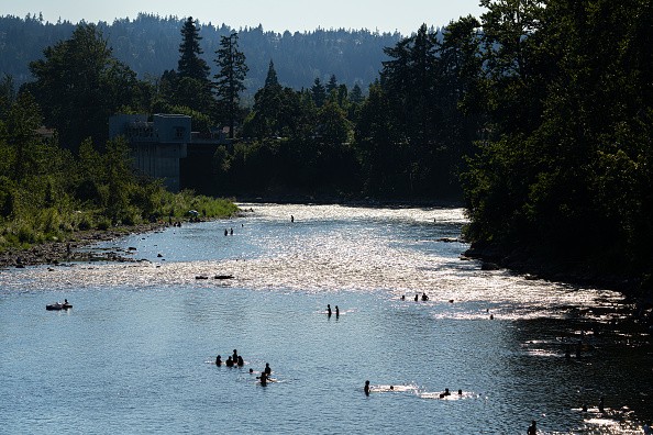 Swimmers cooling off in the Clackamas River 
