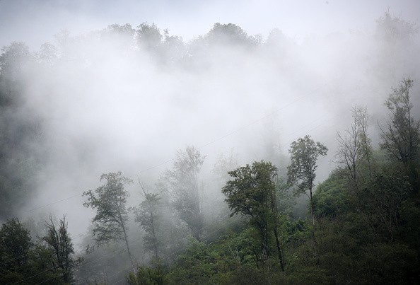 Mist rises over forest after rainfall