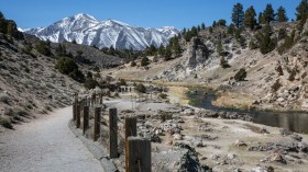 Spring Arrives Early in the Sierra Nevada