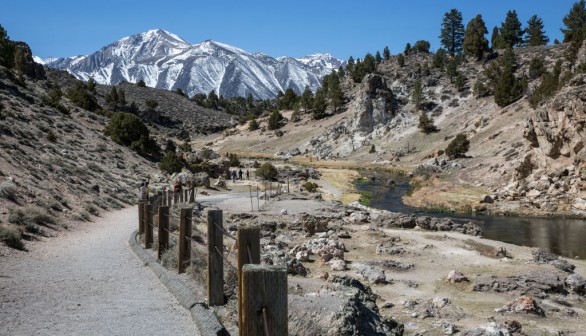 Spring Arrives Early in the Sierra Nevada