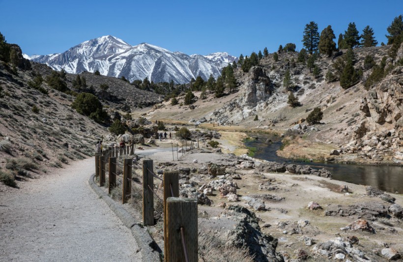 Spring Arrives Early in the Sierra Nevada