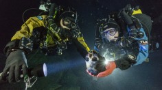 Divers Alberto Nava and Susan Bird