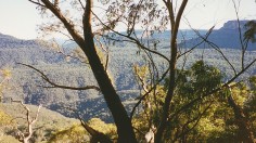 Blue Mountains