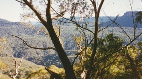 Blue Mountains