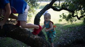 Baby Girl Climbing Tree