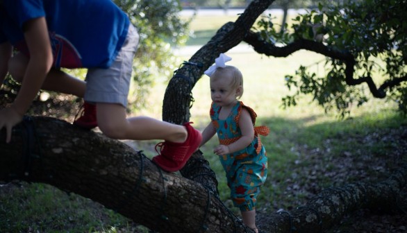 Baby Girl Climbing Tree