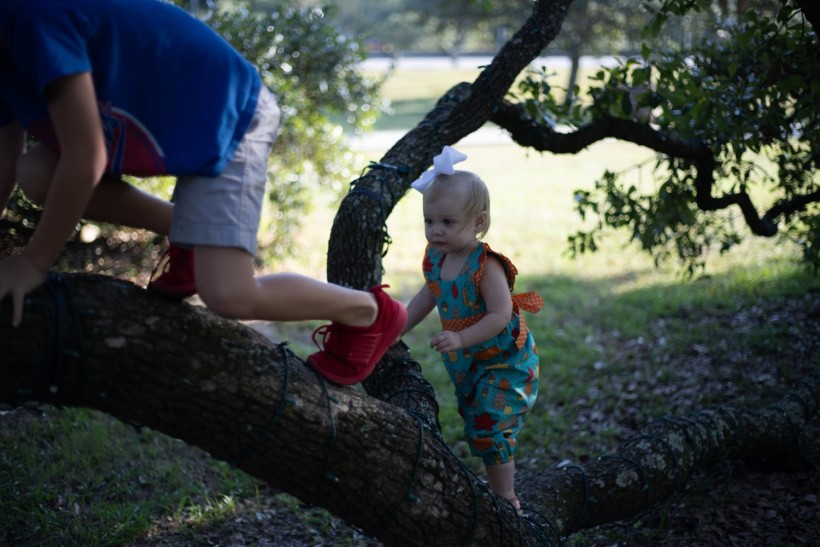 Baby Girl Climbing Tree