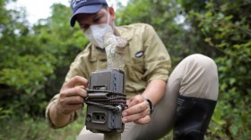 Ricardo Ortiz, member of the Panthera organization for the preservation of big cats, places a trap's camera at La Aurora natural reserve