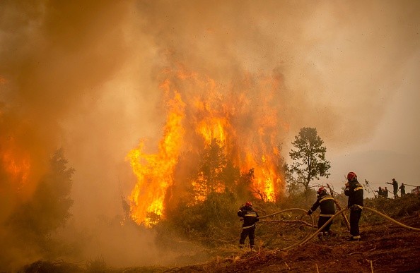 Firefighters using water hose to extinguish the burning blaze of a forest fire