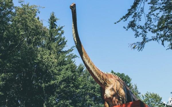 Los científicos han descubierto fósiles de dos nuevos tipos de dinosaurios en China hace 120 millones de años