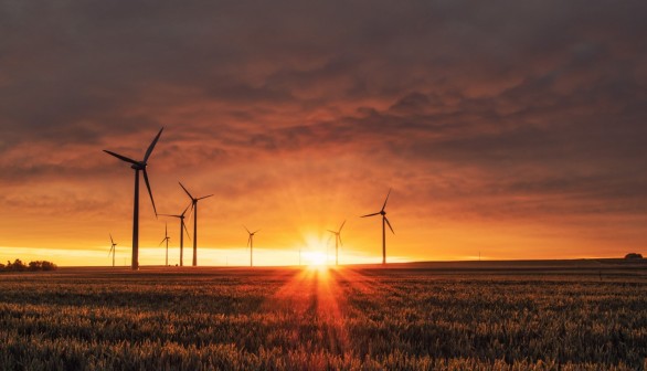 Windmill on Grass