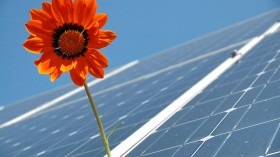 How To Start Using Solar Power In Your Garden