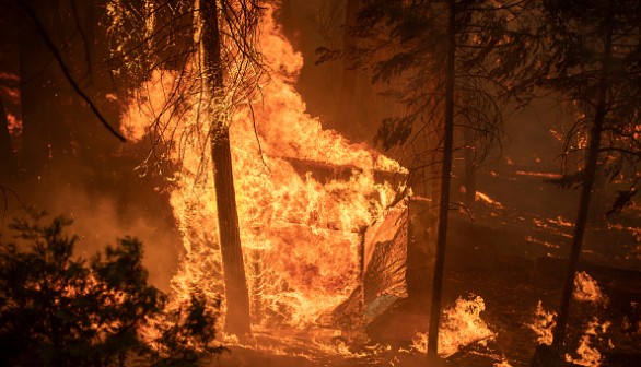 Wildfire in California