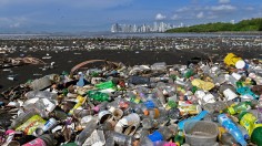 Plastic wastes
