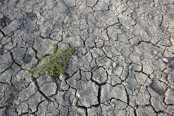 Ground affected by drought 