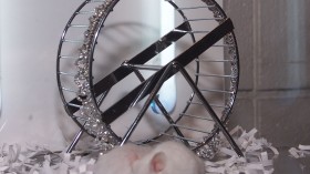 Mouse Wheel