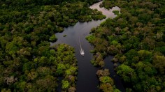 Jurura river Brazilian Amazon Forest