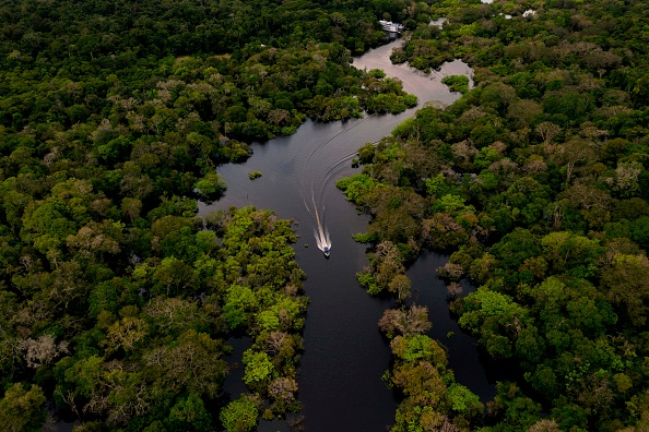 Jurura river Brazilian Amazon Forest