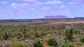 the Northern Territory of Australia