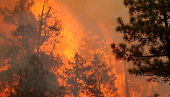 Wildfire in Oregon