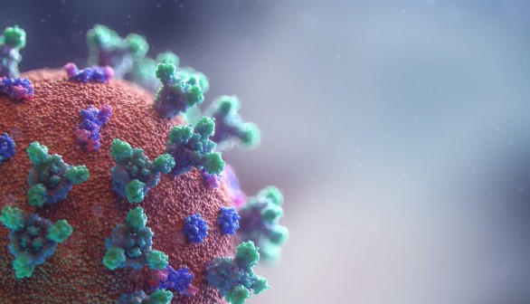 New visualization of the Covid-19 virus