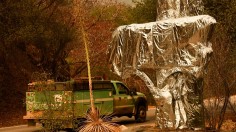 Sequoia National Park historic park entrance sign wrapped in fire resistant foil