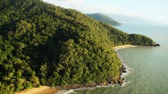 Scientists Monitor Australian Climate Change In Cape Tribulation