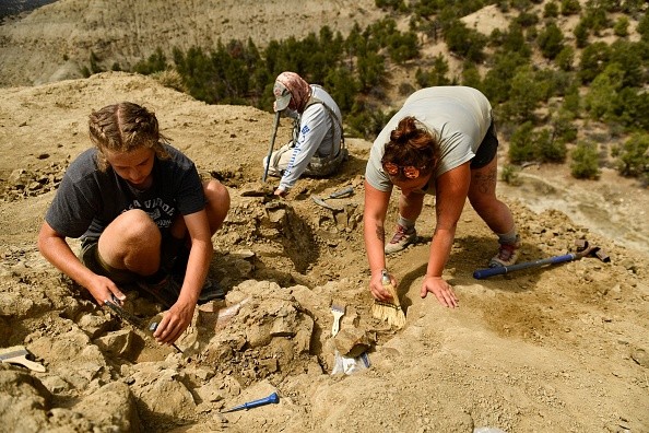 Volunteers and researchers excavating dinosaur bones and fossils
