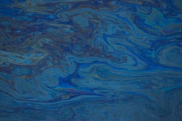 Oil floats in the water of the Talbert Marshlands
