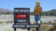 Wildfire Warning