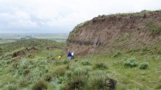 carbon-rich layer of fossil soil 