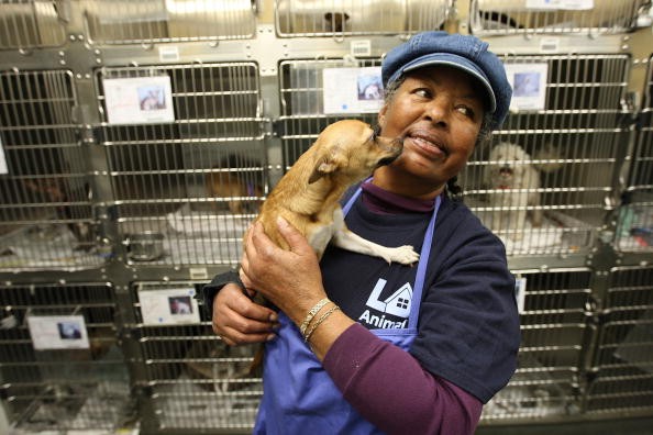 Shelter worker holding a dog that awaits adoption 