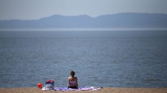 Bay Area Experiences Record Temperatures In First Heat Wave Of The Year