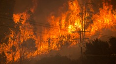 Alisal Fire burning near power lines 