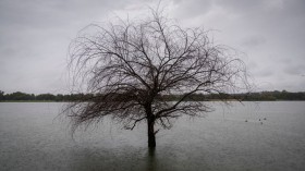 Tidal Flooding Overtakes DC's Tidal Basin Area