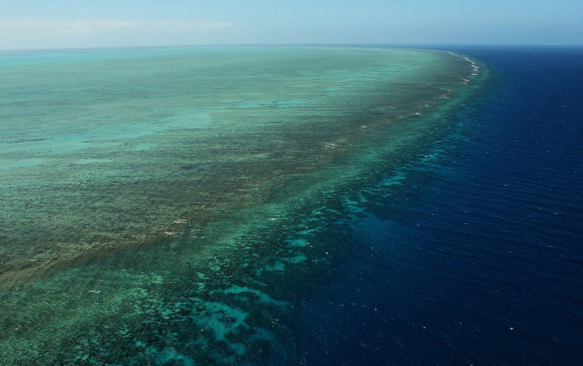 Great Barrier Reef Threatened With Extinction 