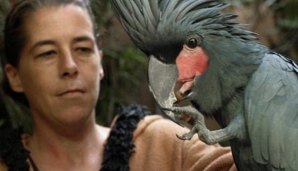 Woman holding a rare Palm Cockatoo 