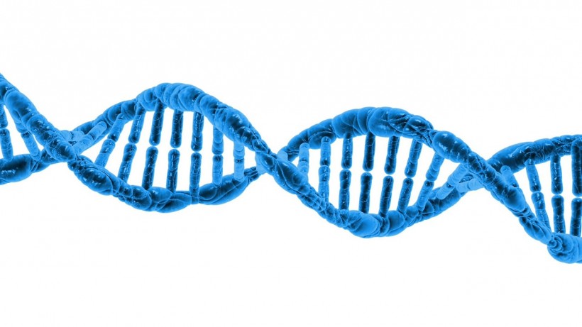 A Better Understanding of DNA Sequencing
