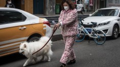 Daily Life In Wuhan After Months-Long Lockdown