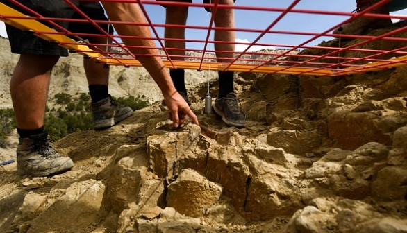 Researchers place a grid for mapping the site as they excavate dinosaur bones and fossils